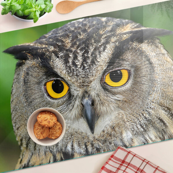 Szklana deska kuchenna Sowa z wyrazistymi oczami