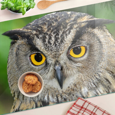 Szklana deska kuchenna Sowa z wyrazistymi oczami