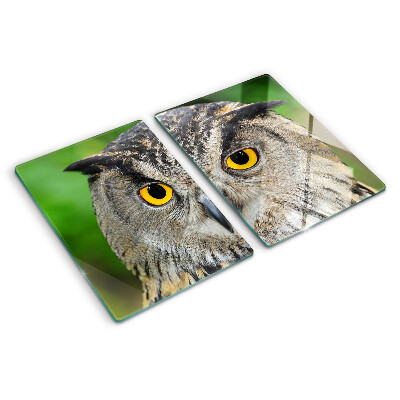 Glazen snijplanken Een uil met expressieve ogen