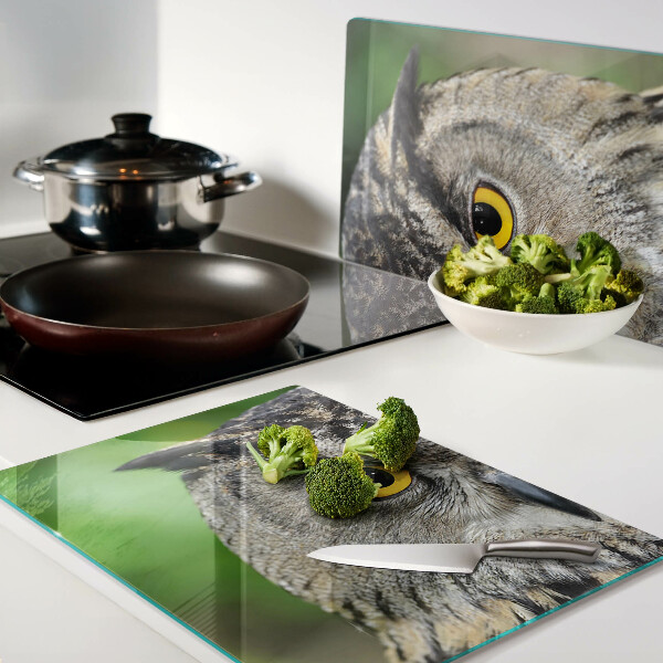 Glazen snijplanken Een uil met expressieve ogen