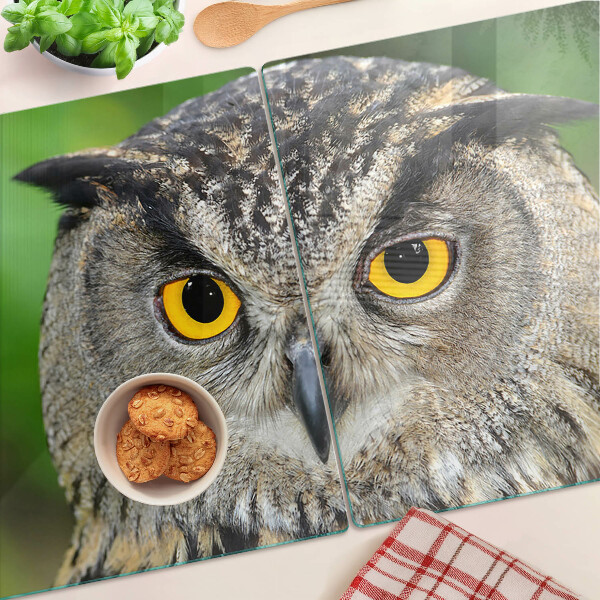 Glazen snijplanken Een uil met expressieve ogen