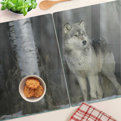 Snijplanken van glas Een wolf in een bosrijke omgeving.