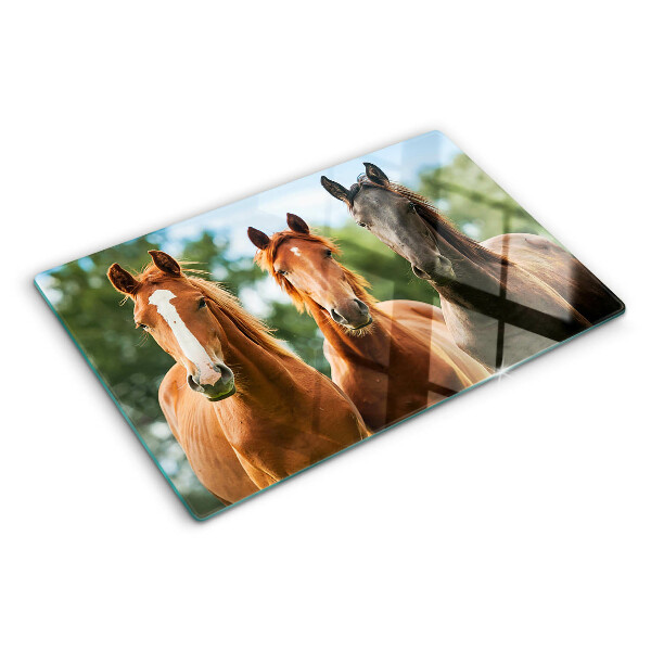 Snijplanken van glas Paarden in de natuur