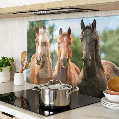 Snijplanken van glas Paarden in de natuur