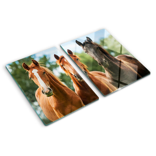 Snijplanken van glas Paarden in de natuur