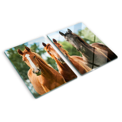Snijplanken van glas Paarden in de natuur