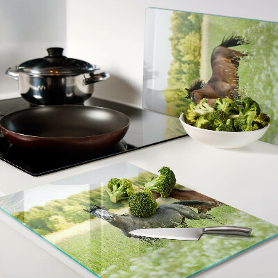 Deska kuchenna szklana Spotkanie koni na polu