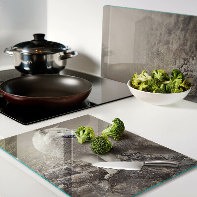 Snijplanken glas Wolf op een rotsachtige berg