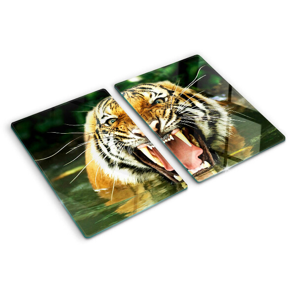 Snijplanken van glas Tijger in de aanval