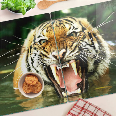 Snijplanken van glas Tijger in de aanval