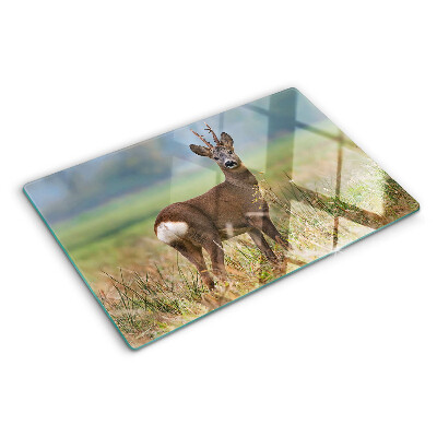 Szklana deska do krojenia Sarna w naturalnym środowisku