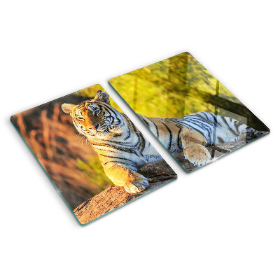 Snijplanken van glas Tijger tegen de achtergrond van de natuur