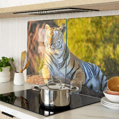 Snijplanken van glas Tijger tegen de achtergrond van de natuur