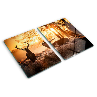 Snijplanken glas Herten in het bos bij zonsondergang