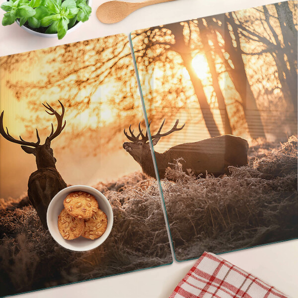 Snijplanken glas Herten in het bos bij zonsondergang