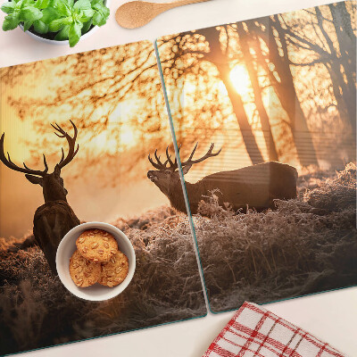 Snijplanken glas Herten in het bos bij zonsondergang