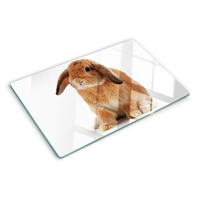 Snijplanken van glas Konijn op een witte achtergrond