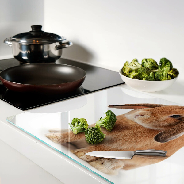 Szklana deska kuchenna Królik na białym tle