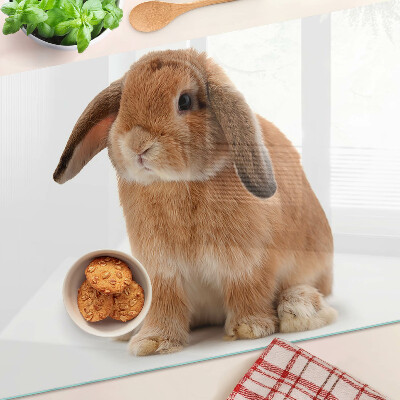 Snijplanken van glas Konijn op een witte achtergrond