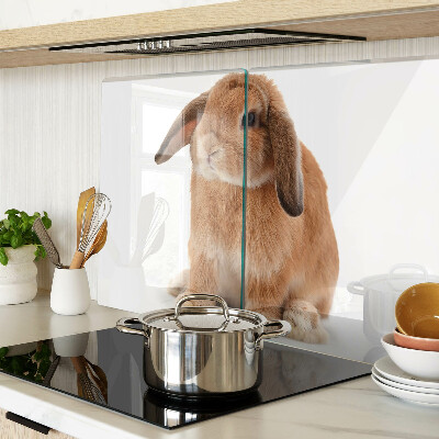 Szklana deska kuchenna Królik na białym tle