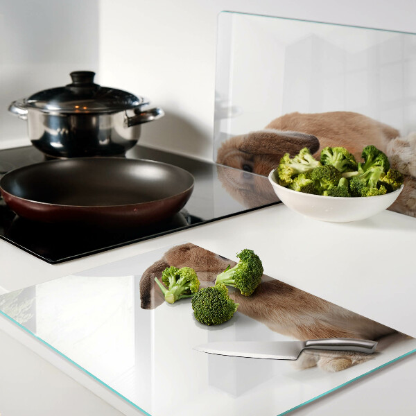 Szklana deska kuchenna Królik na białym tle