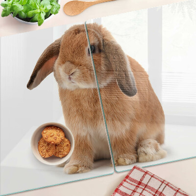 Snijplanken van glas Konijn op een witte achtergrond