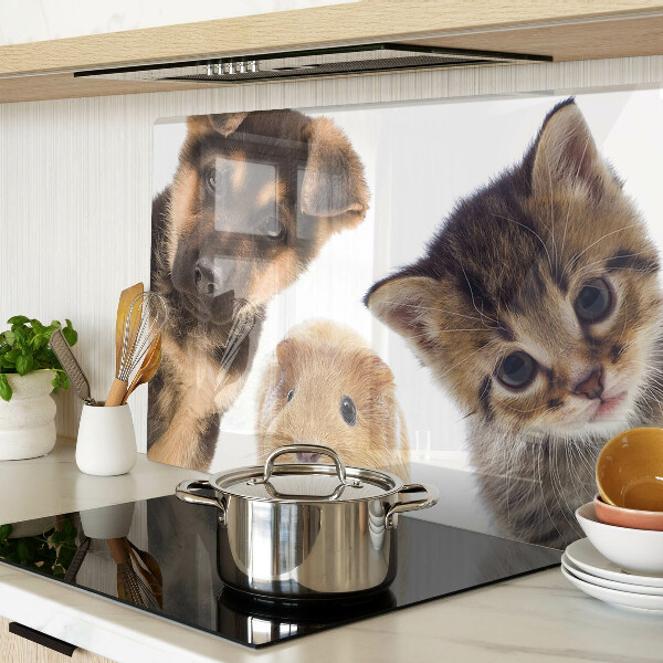 Glazen snijplanken Honden, katten, konijnen