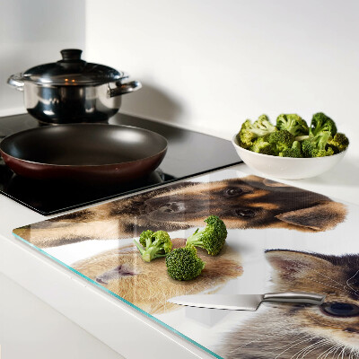 Glazen snijplanken Honden, katten, konijnen