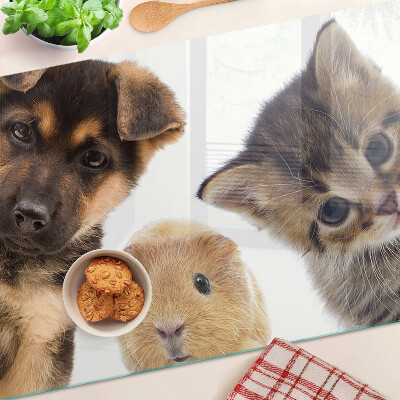 Glazen snijplanken Honden, katten, konijnen