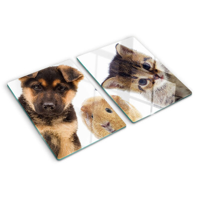 Glazen snijplanken Honden, katten, konijnen