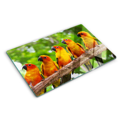 Deska kuchenna szklana Papugi na gałęzi