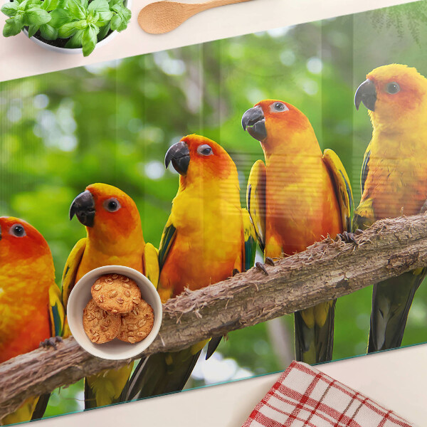 Deska kuchenna szklana Papugi na gałęzi