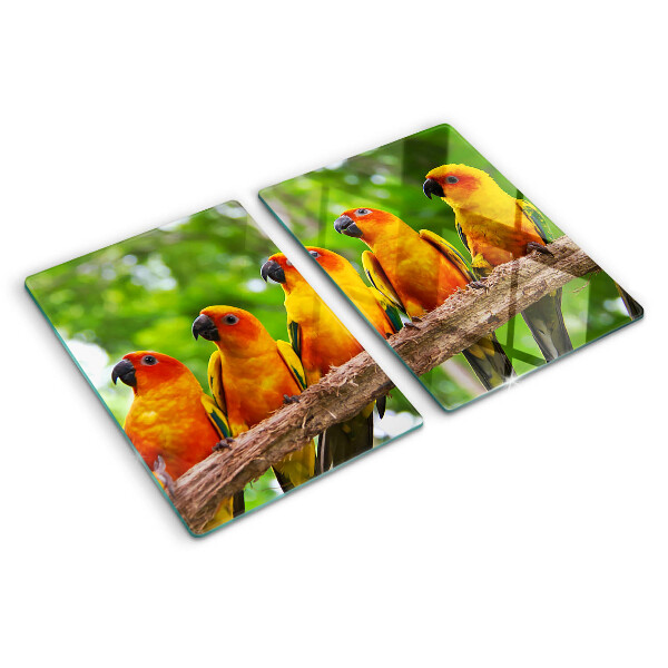 Deska kuchenna szklana Papugi na gałęzi