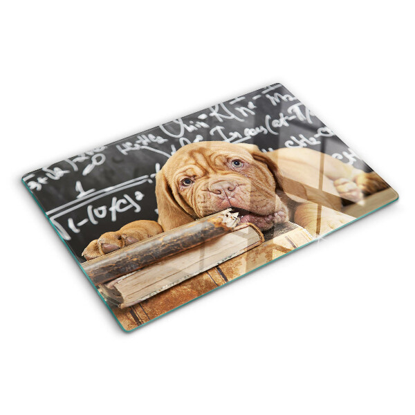 Snijplanken van glas Hond met boeken en een schoolbord