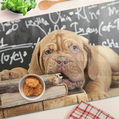 Snijplanken van glas Hond met boeken en een schoolbord