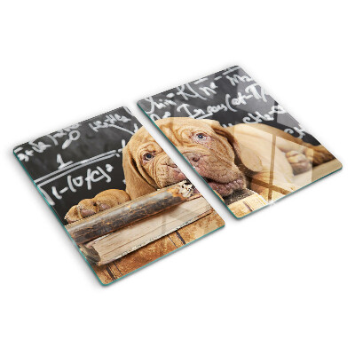 Snijplanken van glas Hond met boeken en een schoolbord