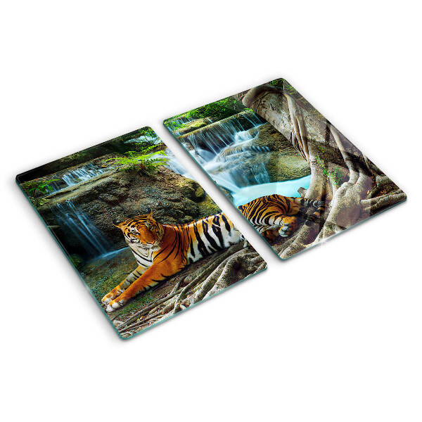 Snijplanken glas Tijger in zijn natuurlijke habitat