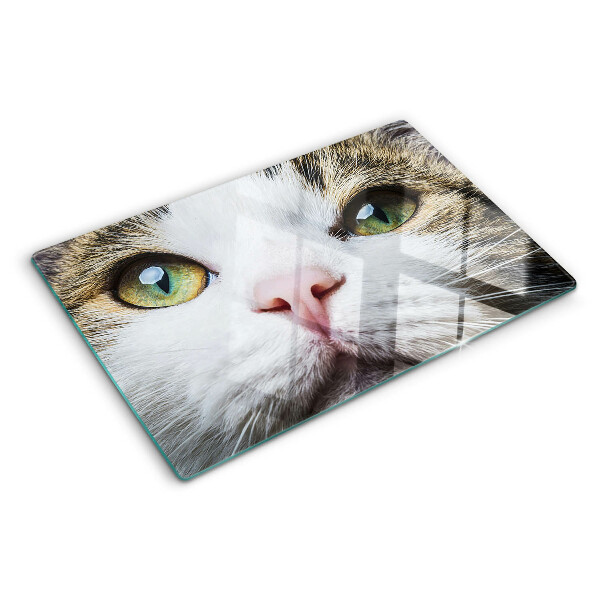 Snijplanken van glas Een kat met groene ogen