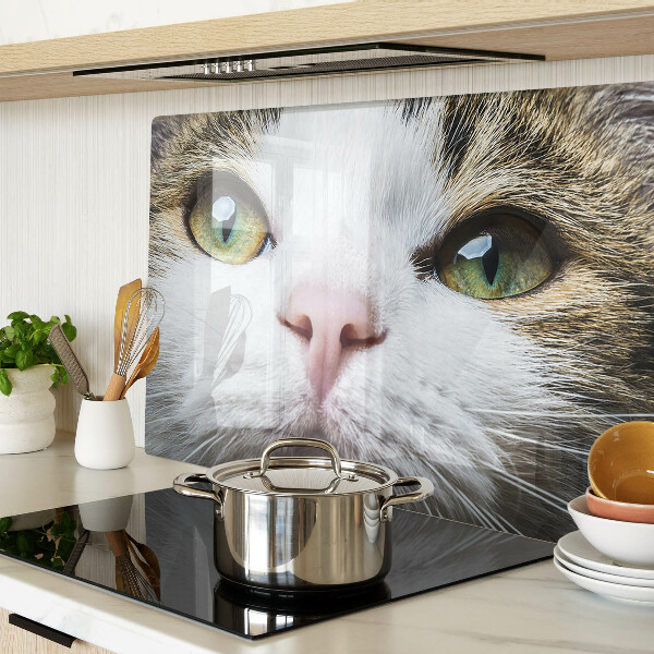 Snijplanken van glas Een kat met groene ogen