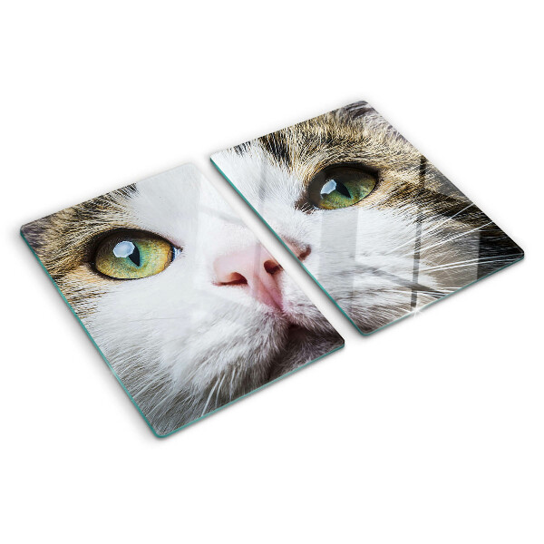 Snijplanken van glas Een kat met groene ogen