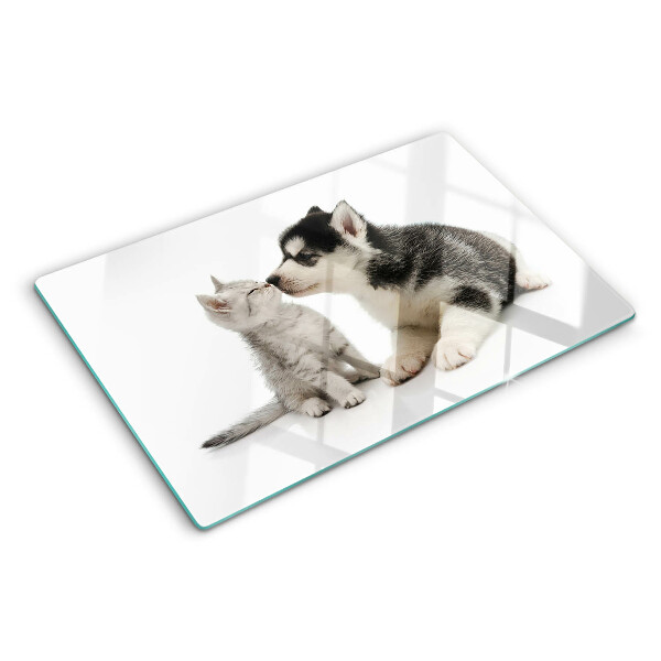 Snijplanken glas Een kitten en een puppy in vriendschap.