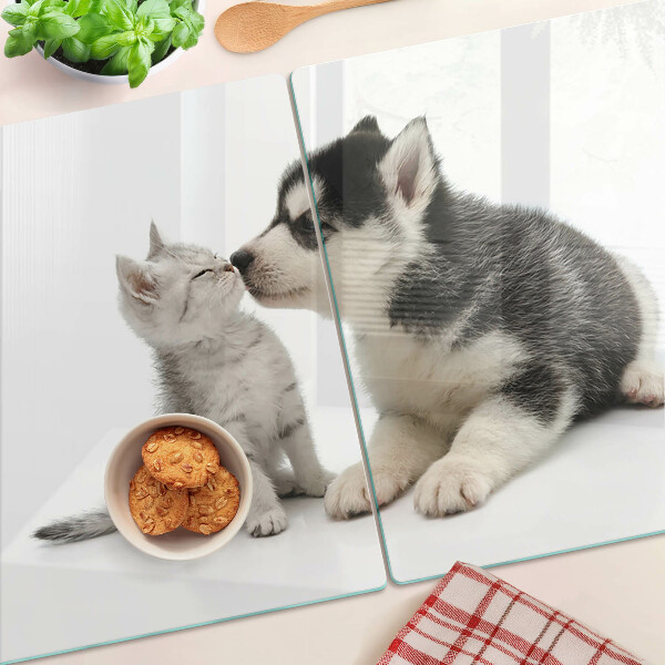 Snijplanken glas Een kitten en een puppy in vriendschap.