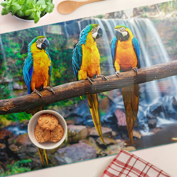 Szklana deska do krojenia Papugi na gałęzi w tropikalnym lesie