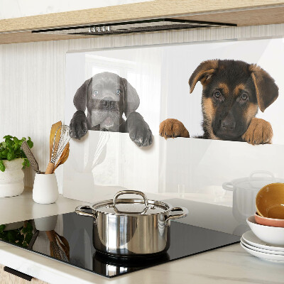 Snijplanken glas Twee honden kijken rond.