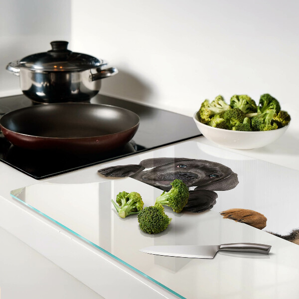 Snijplanken glas Twee honden kijken rond.