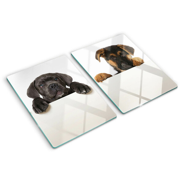 Snijplanken glas Twee honden kijken rond.