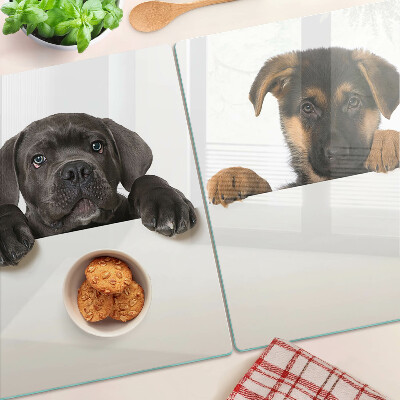 Snijplanken glas Twee honden kijken rond.