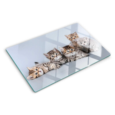 Snijplanken van glas Katten op de achtergrond van het raam.