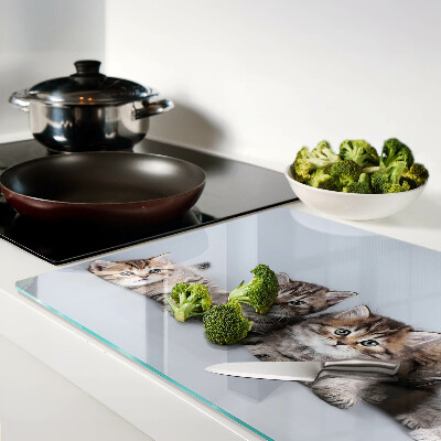 Snijplanken van glas Katten op de achtergrond van het raam.