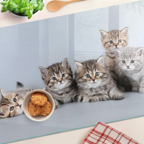 Snijplanken van glas Katten op de achtergrond van het raam.